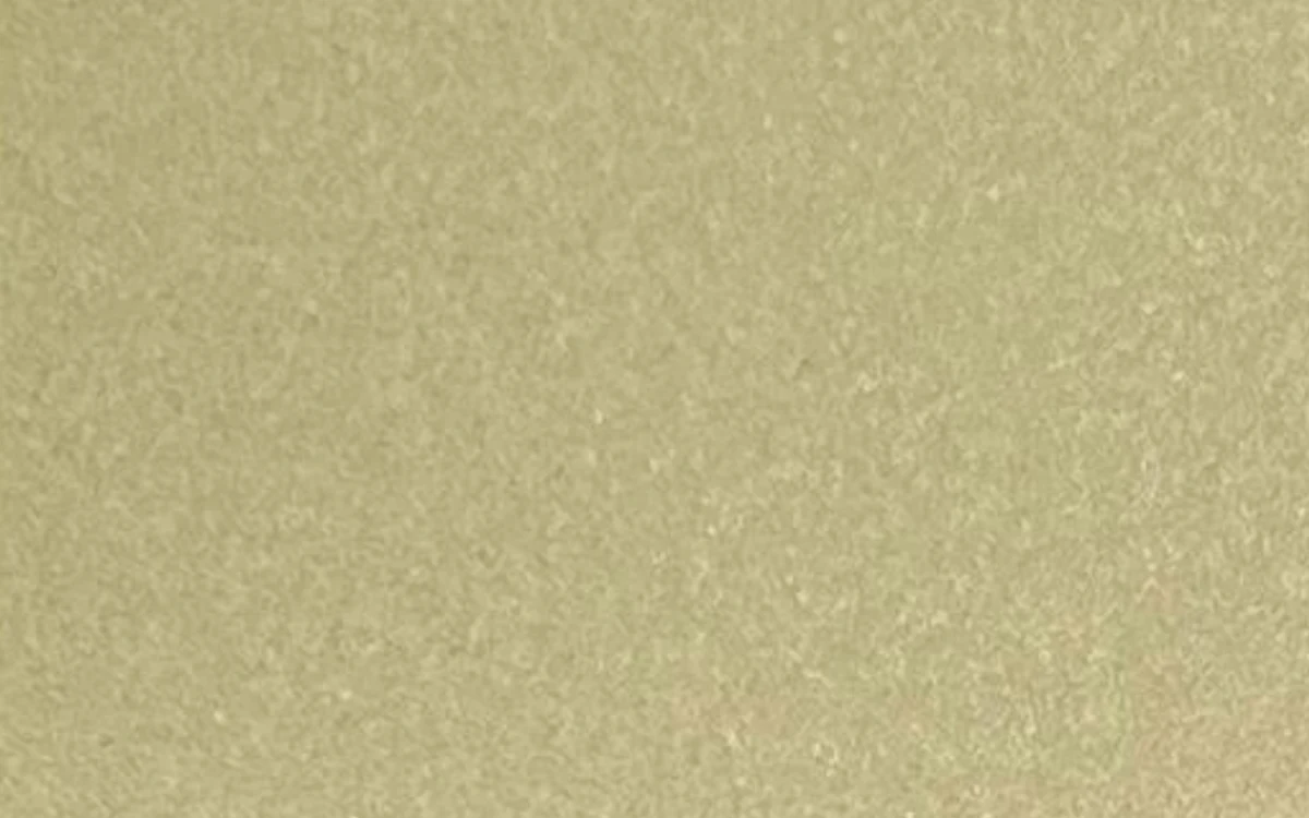 CT10-065 Champagne Gold Glitter Silver Stainless Steel Sheet