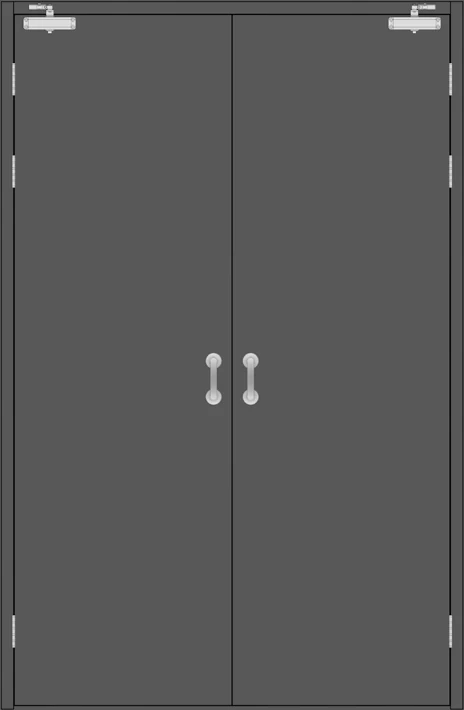 Steel-Wood Fire Rated Door view 3